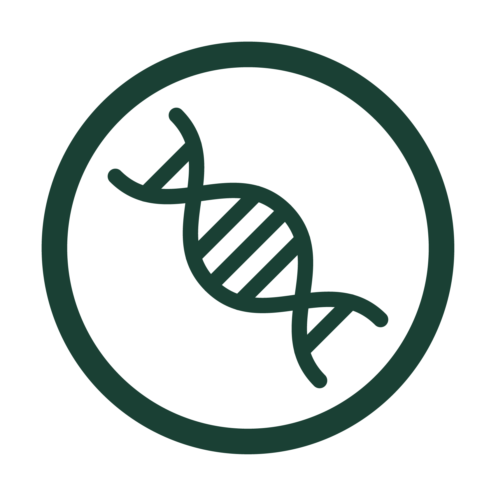 Ação
bioenergética